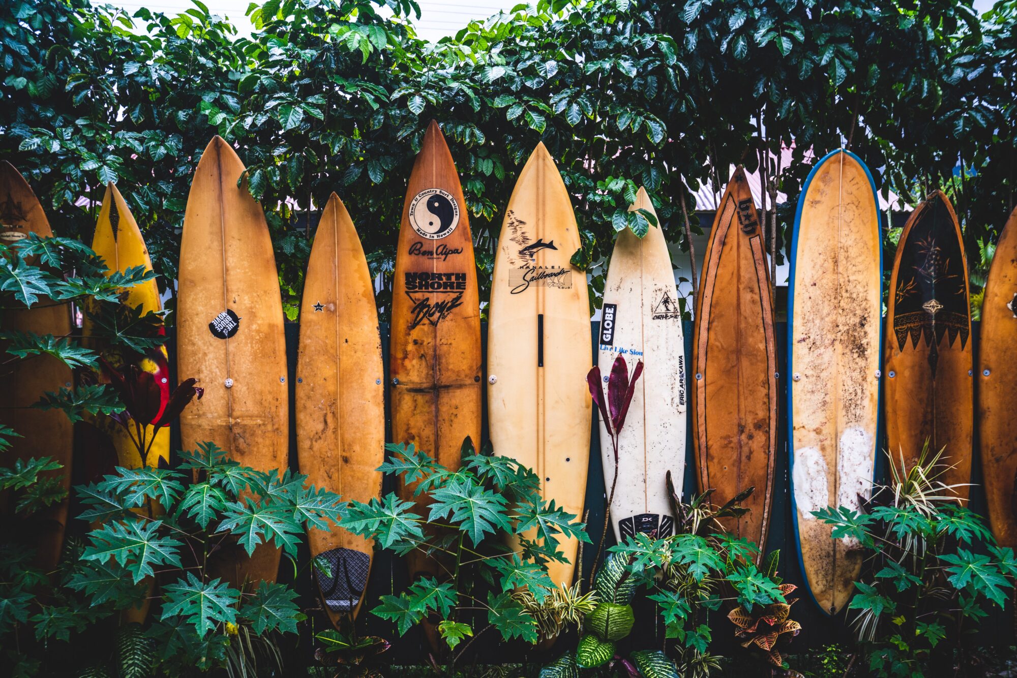 Xtreme Surf Design Footwear
